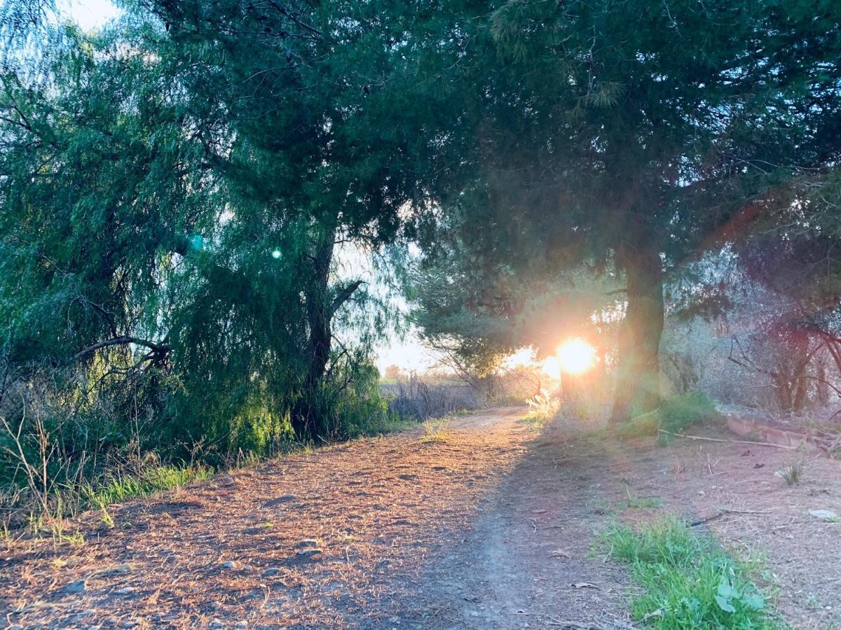 Monte Rosado Viviendas Vacacionales La Peza エクステリア 写真